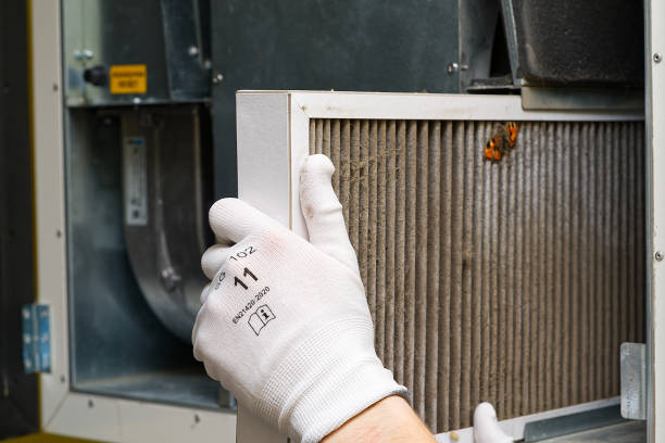 Best Air Quality Test  in Ckam Housing, HI